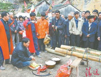 豎起刀桿之前,用活雞鴨來祭祀祈求平安。