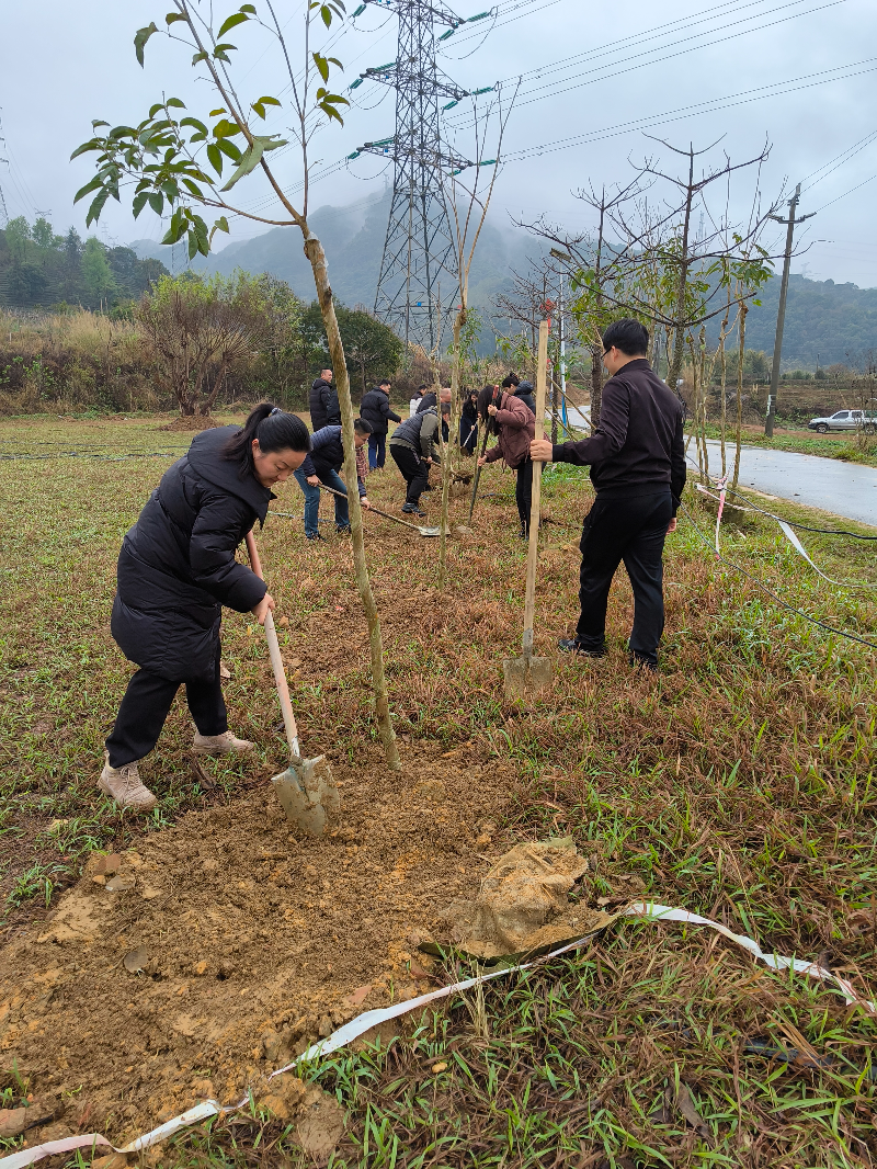 2植樹(shù)現(xiàn)場(chǎng)-全景2.jpg